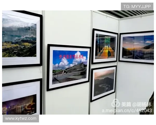 开云网址入口：探讨不同设备下的访问体验有何不同